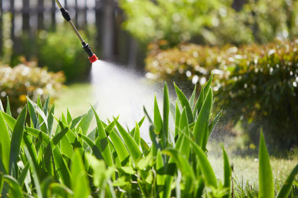 24/7 Emergency Mosquito Control experts in Atlantic Highlands, NJ
