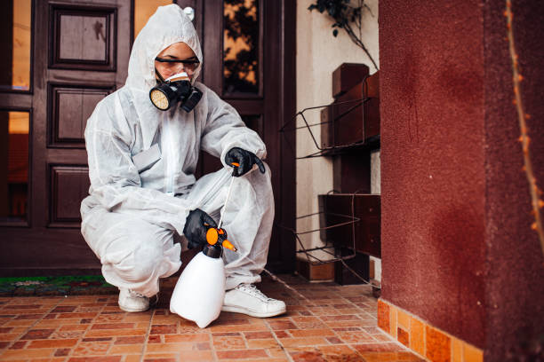 Reliable Mosquito Control contractor in Atlantic Highlands, NJ by Show Me Pest Control